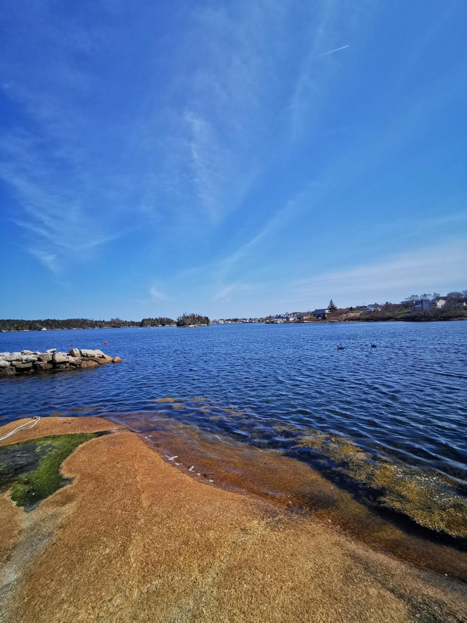 181 Oceanside Inn Peggy's Cove Bagian luar foto